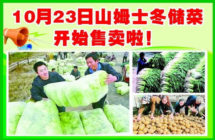 冬儲菜.png